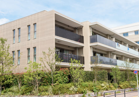 デザインパック